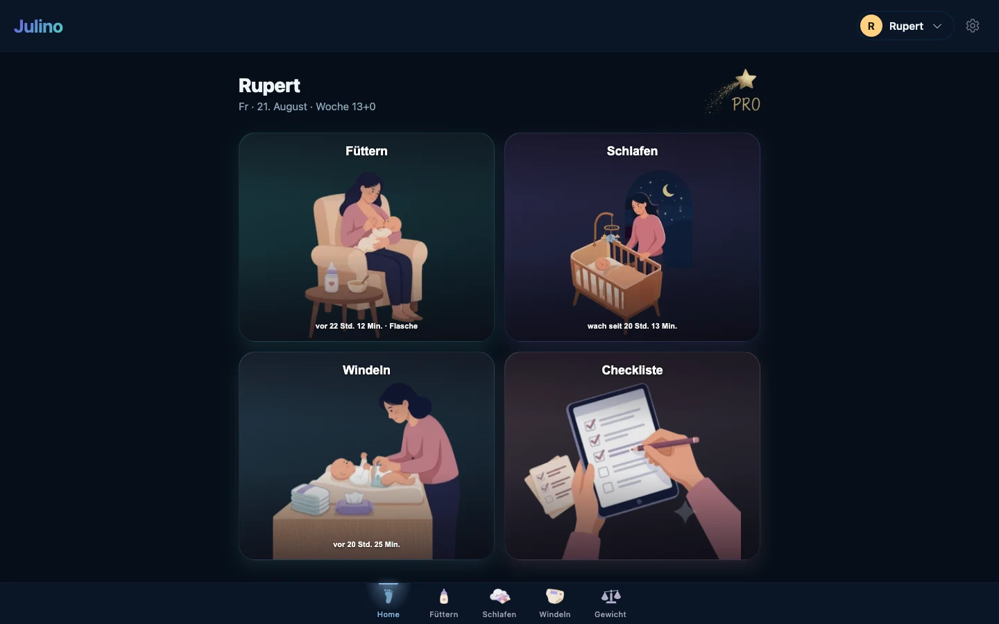 Julino im Browser mit demselben Babyprofil und denselben Einträgen